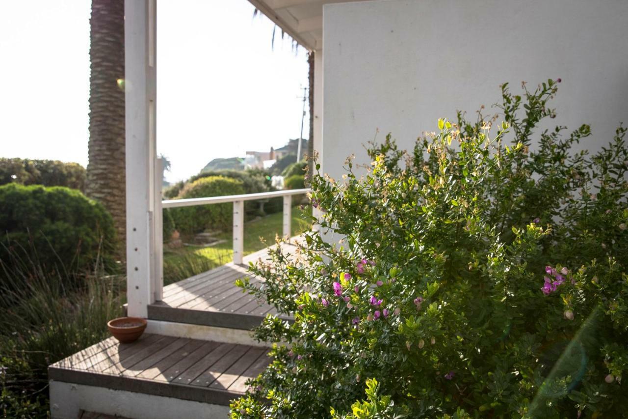 Palm Villa Cottage 科梅奇 外观 照片