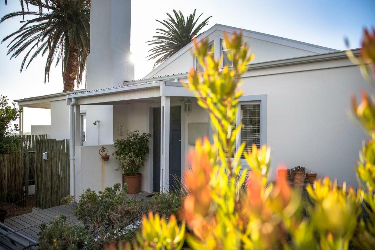 Palm Villa Cottage 科梅奇 外观 照片